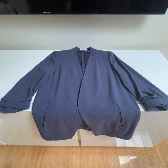 Aritzia Babaton New Power Blazer - Picture 11 of 16